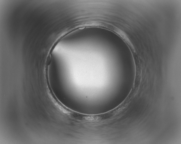 X0000070350805200606161315