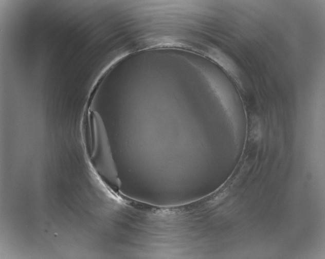 X0000070350806200606161315