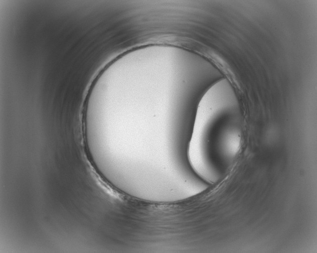 X0000070350808200606161315