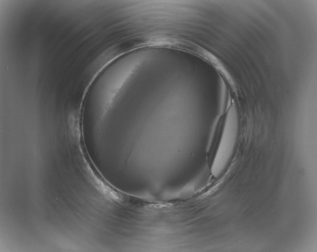 X0000070350810200606161315