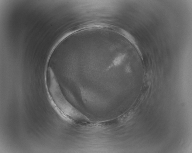 X0000070350811200606161315