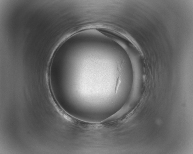 X0000070350813200606161315