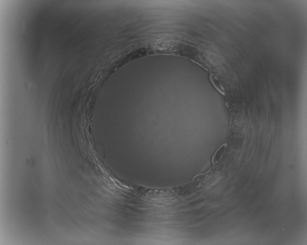 X0000070350817200606161314