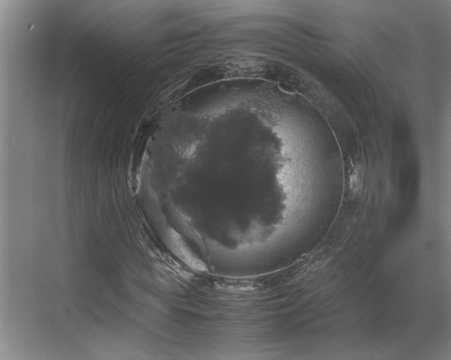 X0000070350819200606161314