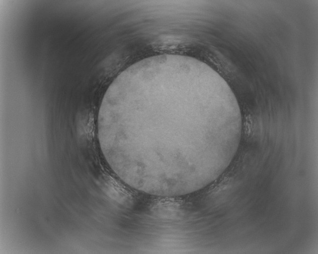 X0000070350820200606161314