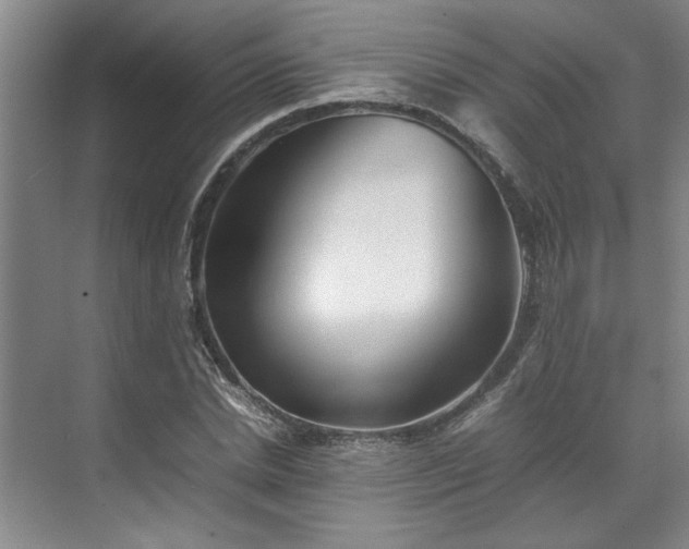 X0000070350830200606161314