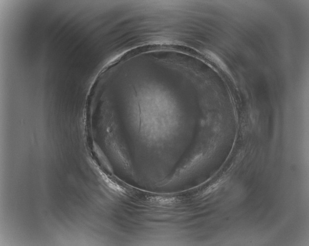 X0000070350831200606161314