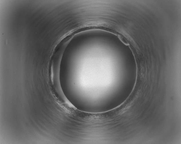 X0000070350834200606161314
