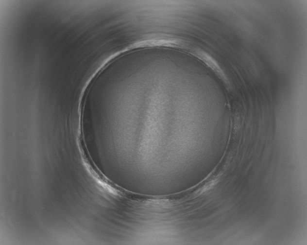 X0000070350844200606161314