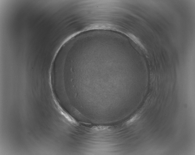 X0000070350846200606161314