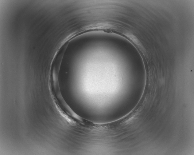 X0000070350850200606161314