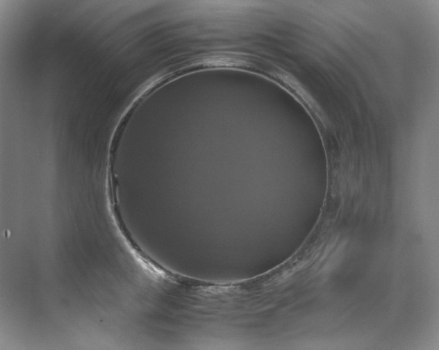 X0000070350853200606161314