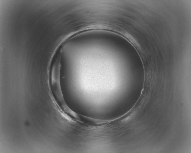 X0000070350854200606161314