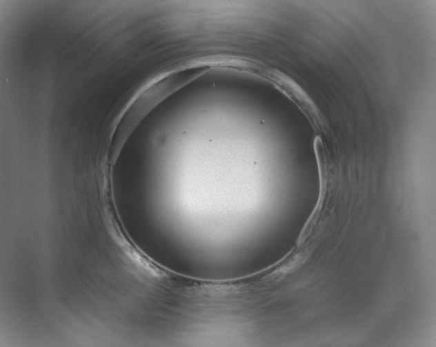 X0000070350860200606161315