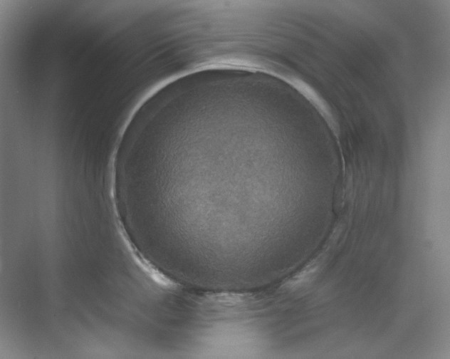X0000070350862200606161315