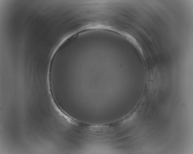 X0000070350863200606161315