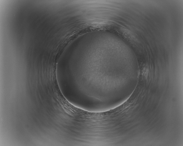 X0000070350868200606161314