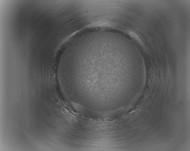 X0000070350872200606161314