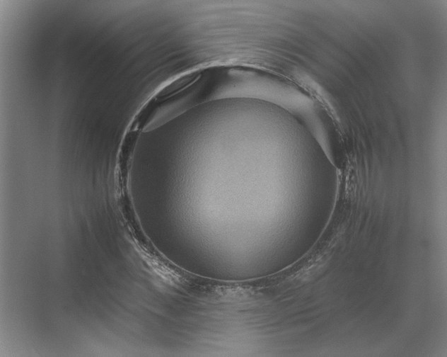 X0000070350876200606161314