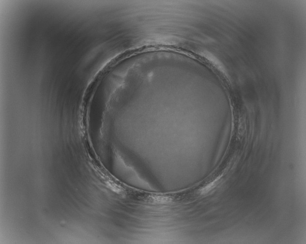 X0000070350878200606161314