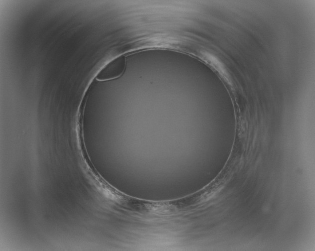 X0000070350899200606161313