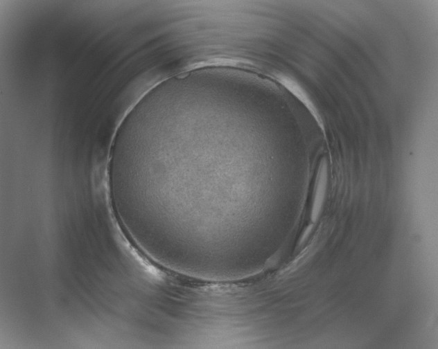 X0000070350906200606161313