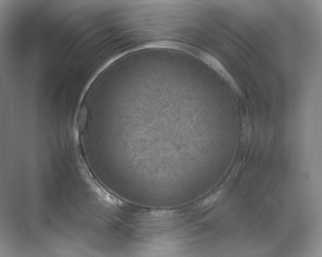 X0000070350908200606161313