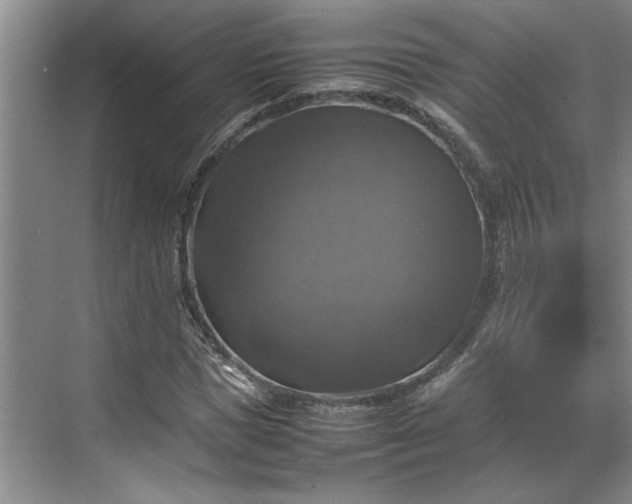 X0000070350921200606161312