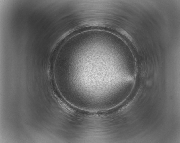 X0000070350922200606161312