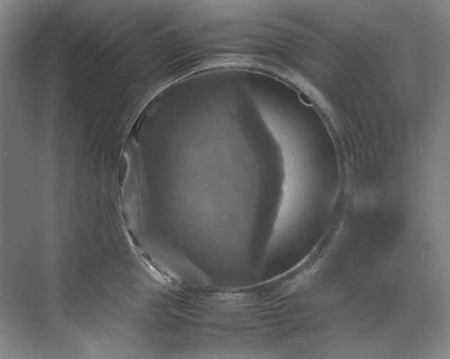 X0000070350953200606161313