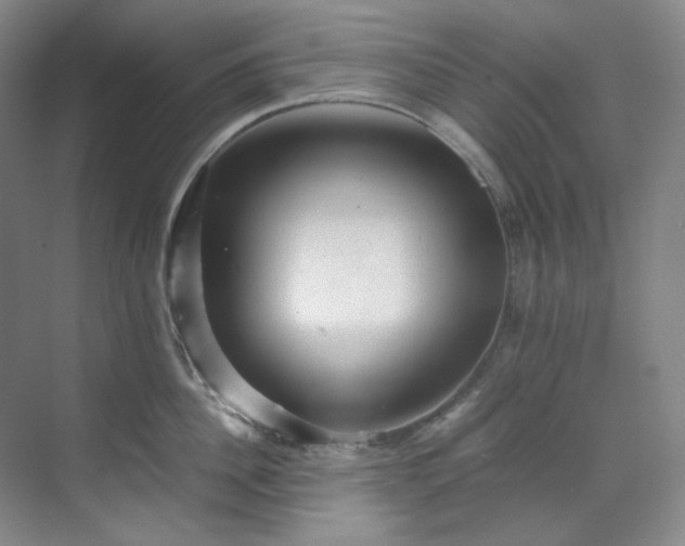 X0000070350956200606161313