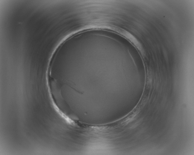 X0000070350958200606161313