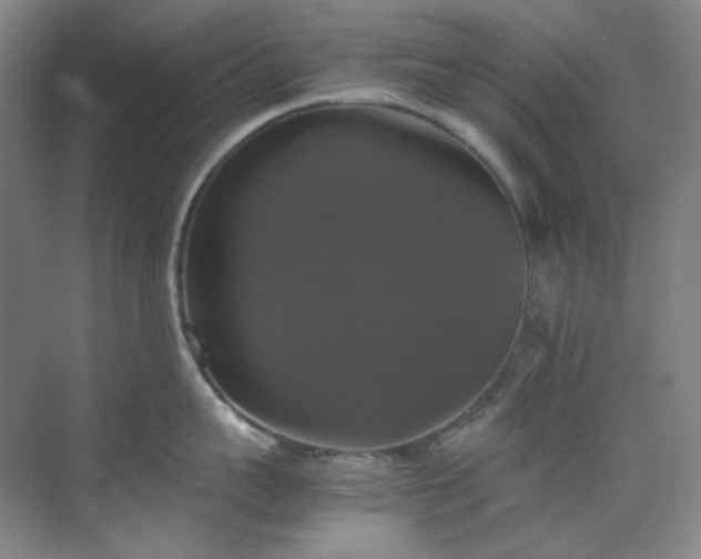 X0000070350959200606161313