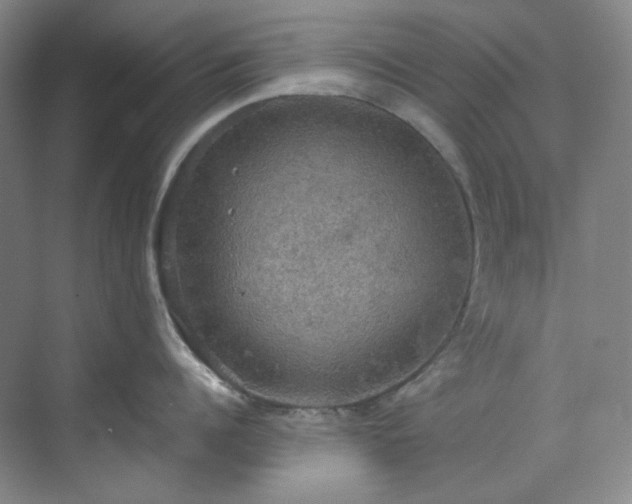 X0000070350960200606161313