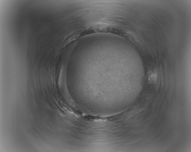 X0000070350964200606161312