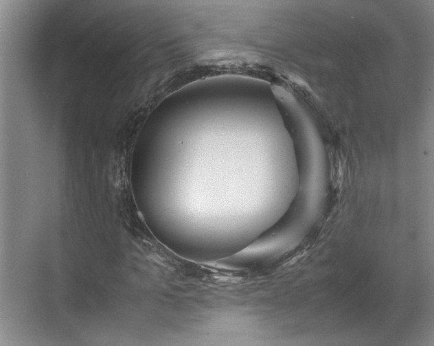 X0000070350965200606161312