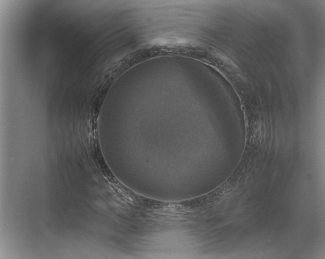 X0000070350966200606161312