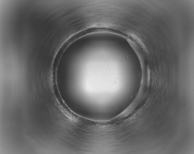 X0000070350976200606161312