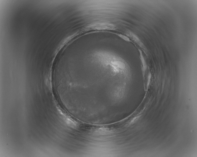 X0000070350986200606161312