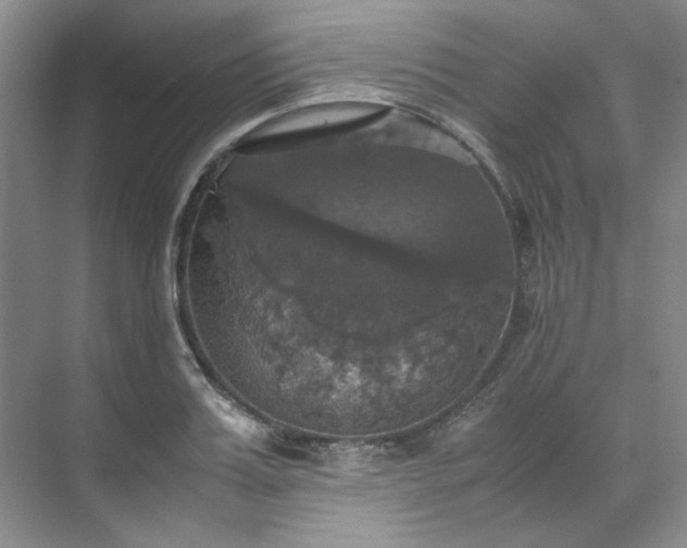 X0000070350987200606161312