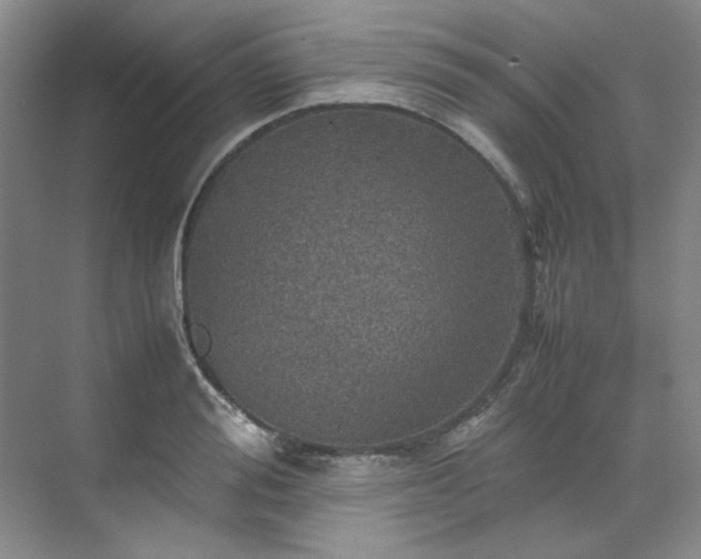 X0000070350988200606161312