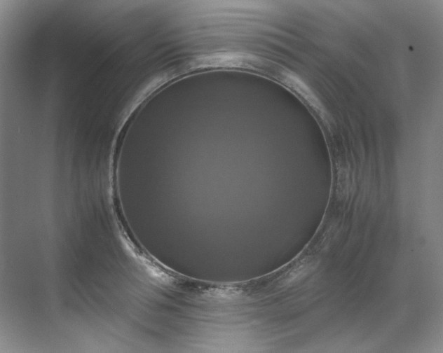 X0000070350994200606161312