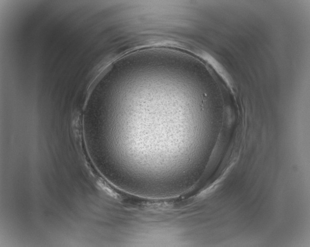 X0000070351001200606161311