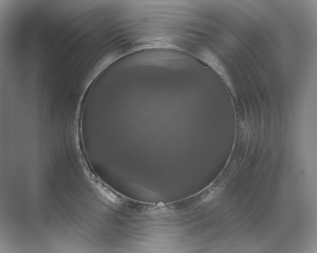 X0000070351002200606161311