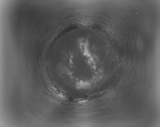 X0000070351009200606161311