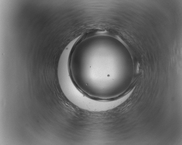 X0000070351010200606161311