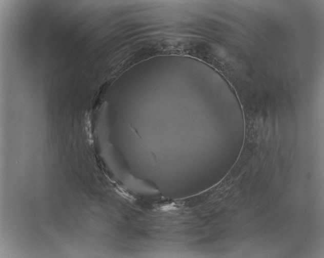 X0000070351013200606161311