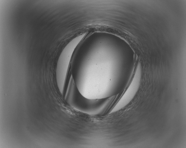 X0000070351014200606161311