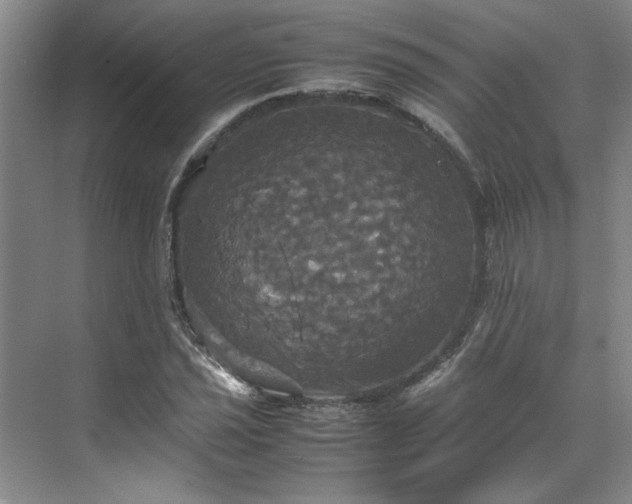 X0000070351021200606161311