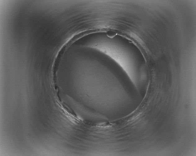 X0000070351023200606161311